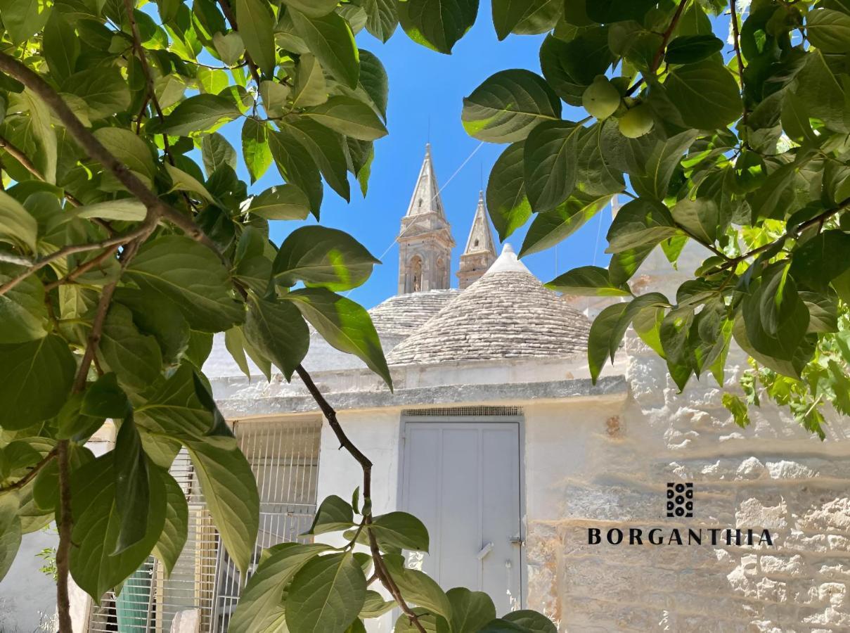 מלון אלברובלו Borganthia - Il Chiostro Dei Medici מראה חיצוני תמונה